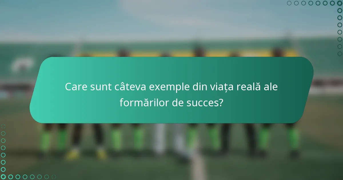 Care sunt câteva exemple din viața reală ale formărilor de succes?