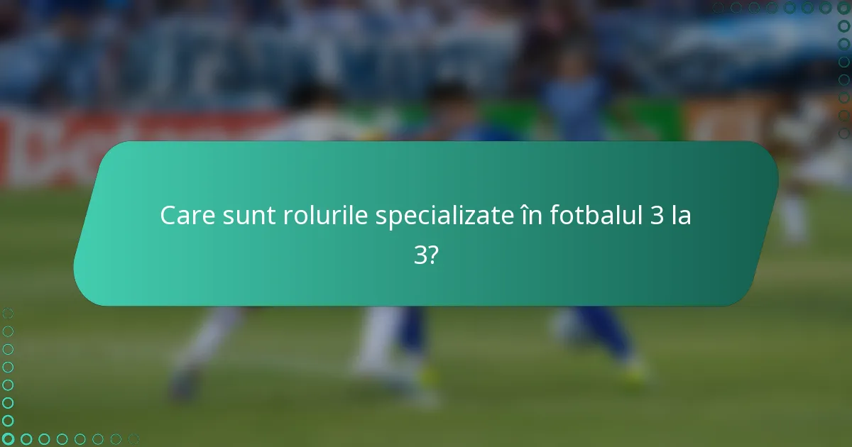 Care sunt rolurile specializate în fotbalul 3 la 3?