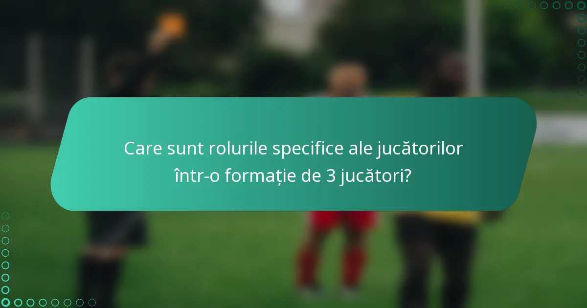 Care sunt rolurile specifice ale jucătorilor într-o formație de 3 jucători?