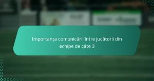 Importanța comunicării între jucătorii din echipe de câte 3